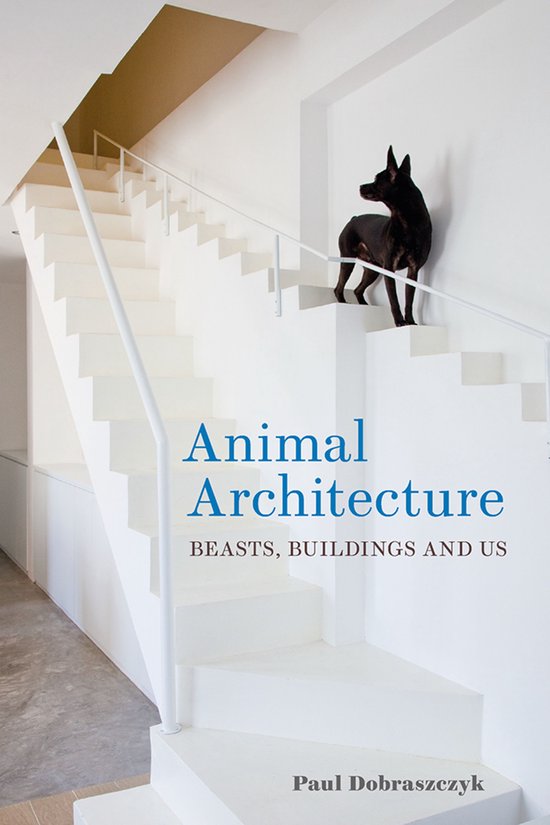 Animal Architecture - cover