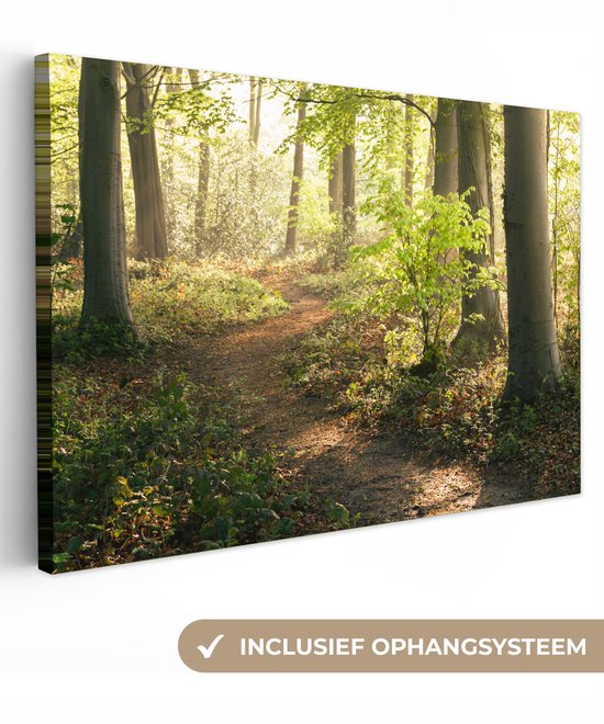 Chemin dans la forêt Toile 30x20 cm - petit - Tirage photo sur toile (Décoration murale salon / chambre) / Décoration murale Peintures sur toile