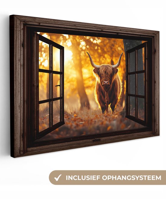 Een schotse hooglander kijkt je aan vanuit een open raam in een herfstbos, inclusief ophangsysteem.