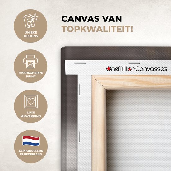 Peinture sur toile 160x80 cm - Décoration murale Fleurs séchées - Wit - Plantes - Décoration murale murale salon - Décoration chambre - Accessoires de chambre - Peintures