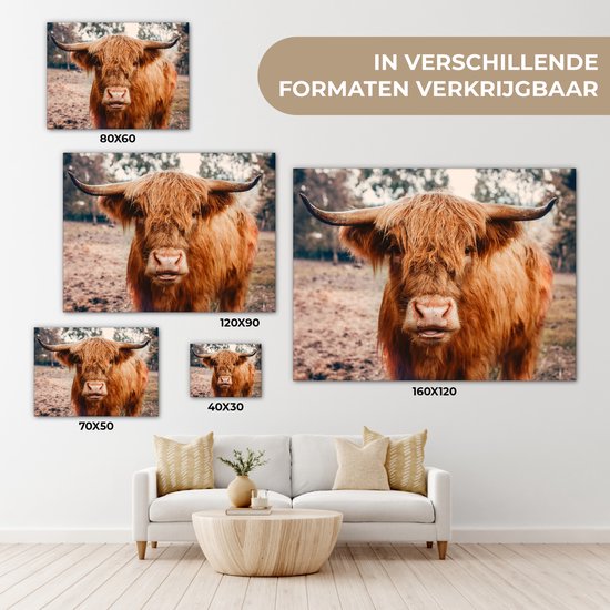 Tableau sur toile - Highlander - Animaux - Vache - Peintures salon - Décoration chambre - Toile toile - 40x30 cm