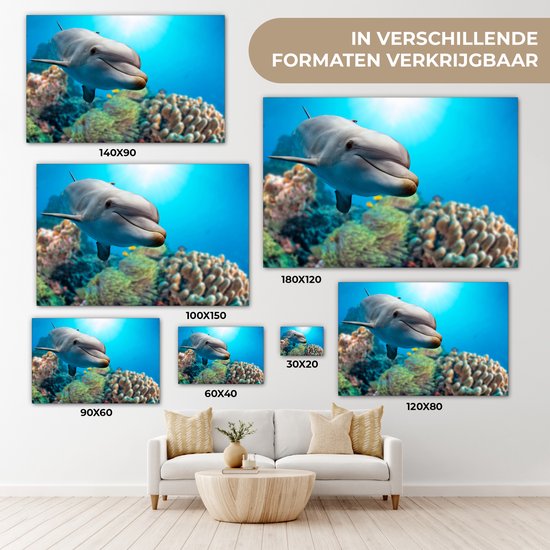 Canvas schilderij 120x80 cm - Wanddecoratie Dolfijn - Zee - Koraal - Muurdecoratie woonkamer - Slaapkamer decoratie - Kamer accessoires - Schilderijen op canvas