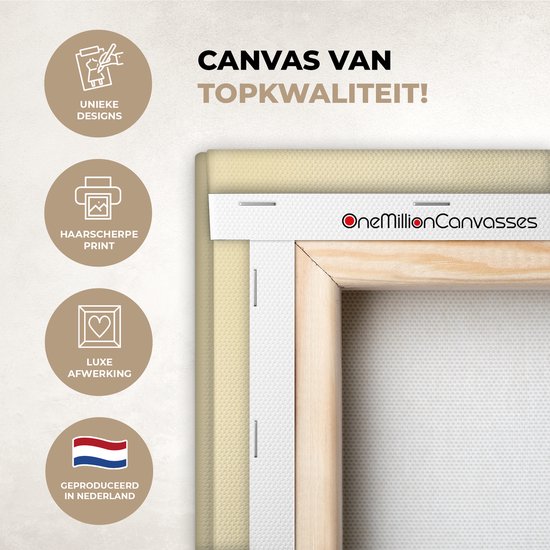 Peinture sur toile 80x60 cm - Décoration murale Vintage - Avion - Water - Beige - Véhicule - Décoration murale salon - Décoration chambre - Accessoires de chambre - Peintures