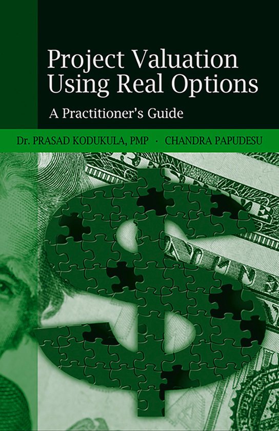 Project Valuation Using Real Options - cover