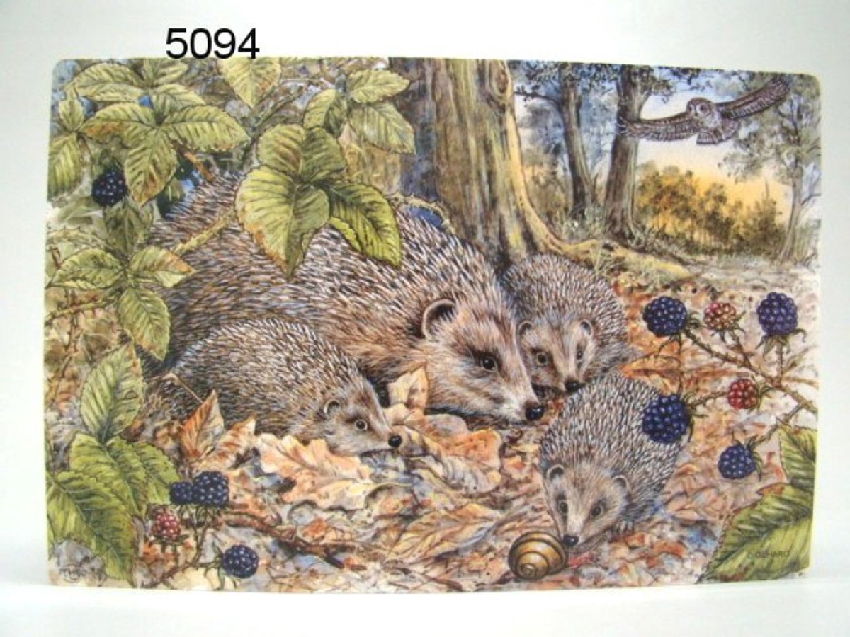 Geharo Placemat egels - 41 x 29 cm - gelamineerd