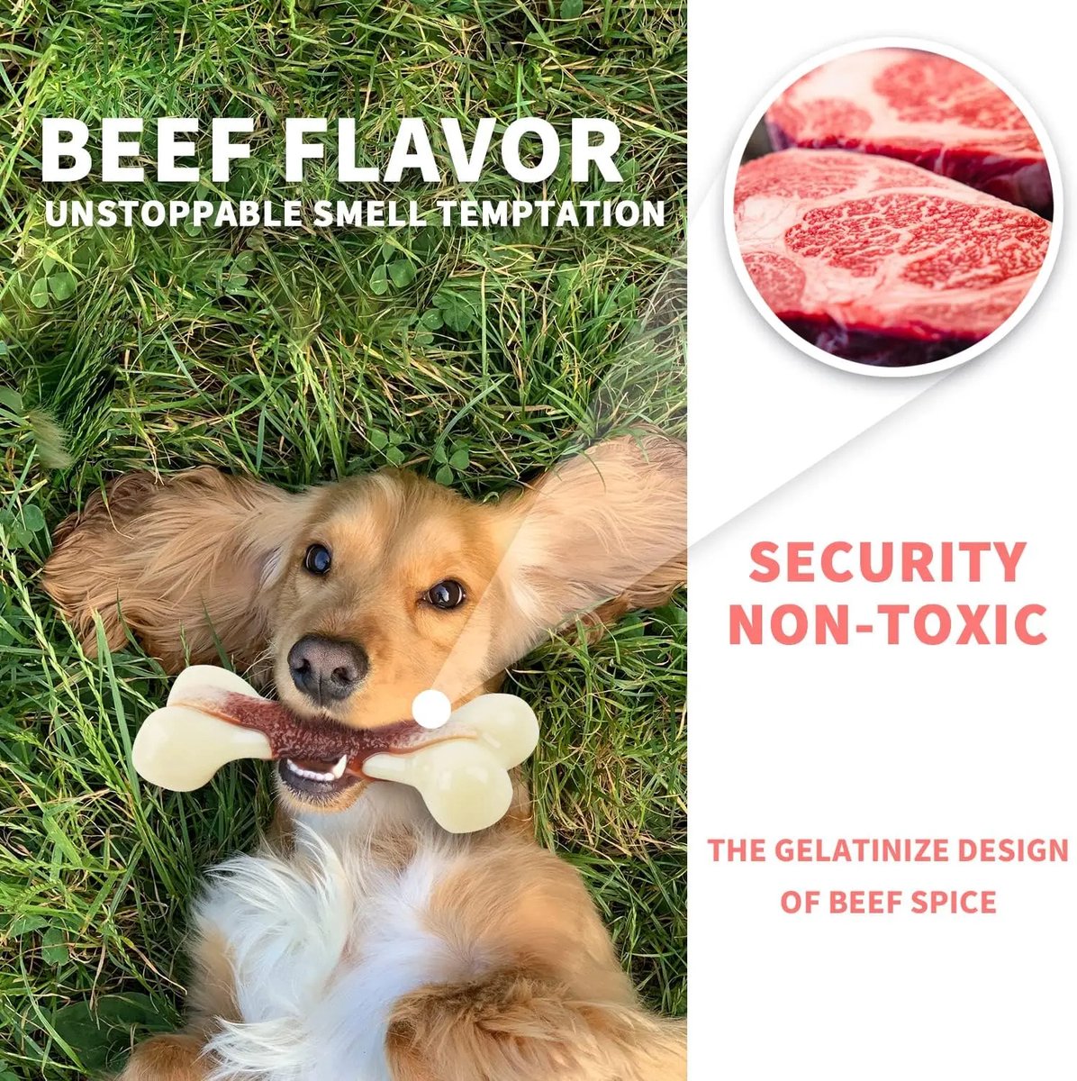 Bone Appetit™ Super Nylon Bone Beef Flavour Infused (Medium) - Designed for Extreme Chewers - Long Lasting Chew Toy - Cleaner and Safer than Real Bones - Easy to Clean - For All Sizes Dogs