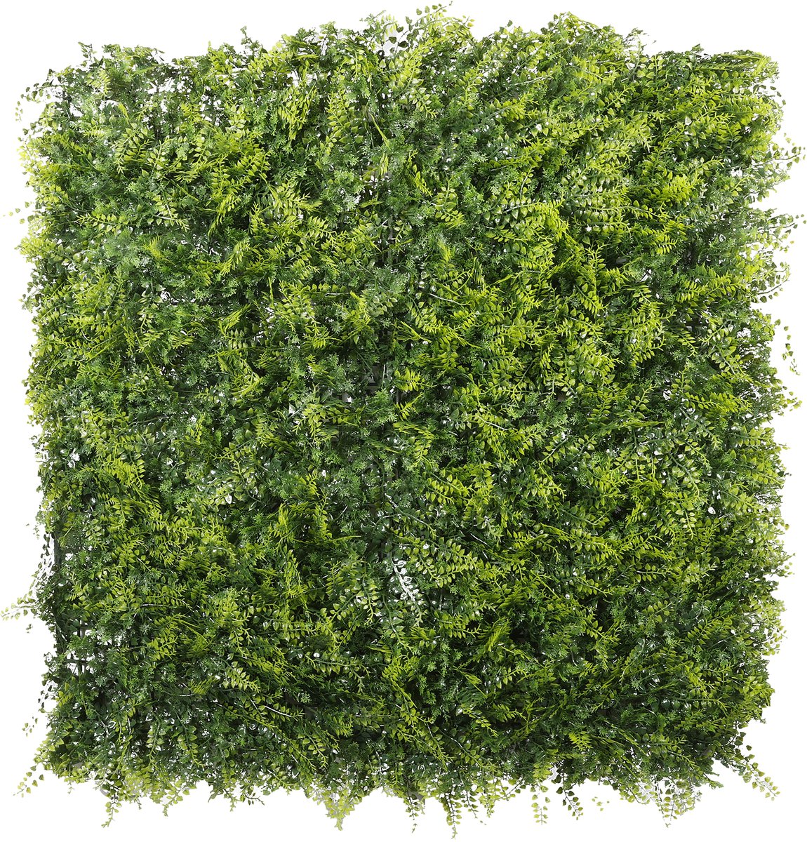 Nature - Wandtegel met kunstvegetatie Varen - 1 x 1m - decoratief