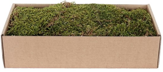 My Village | Plat mos groen-bruin | 500 g