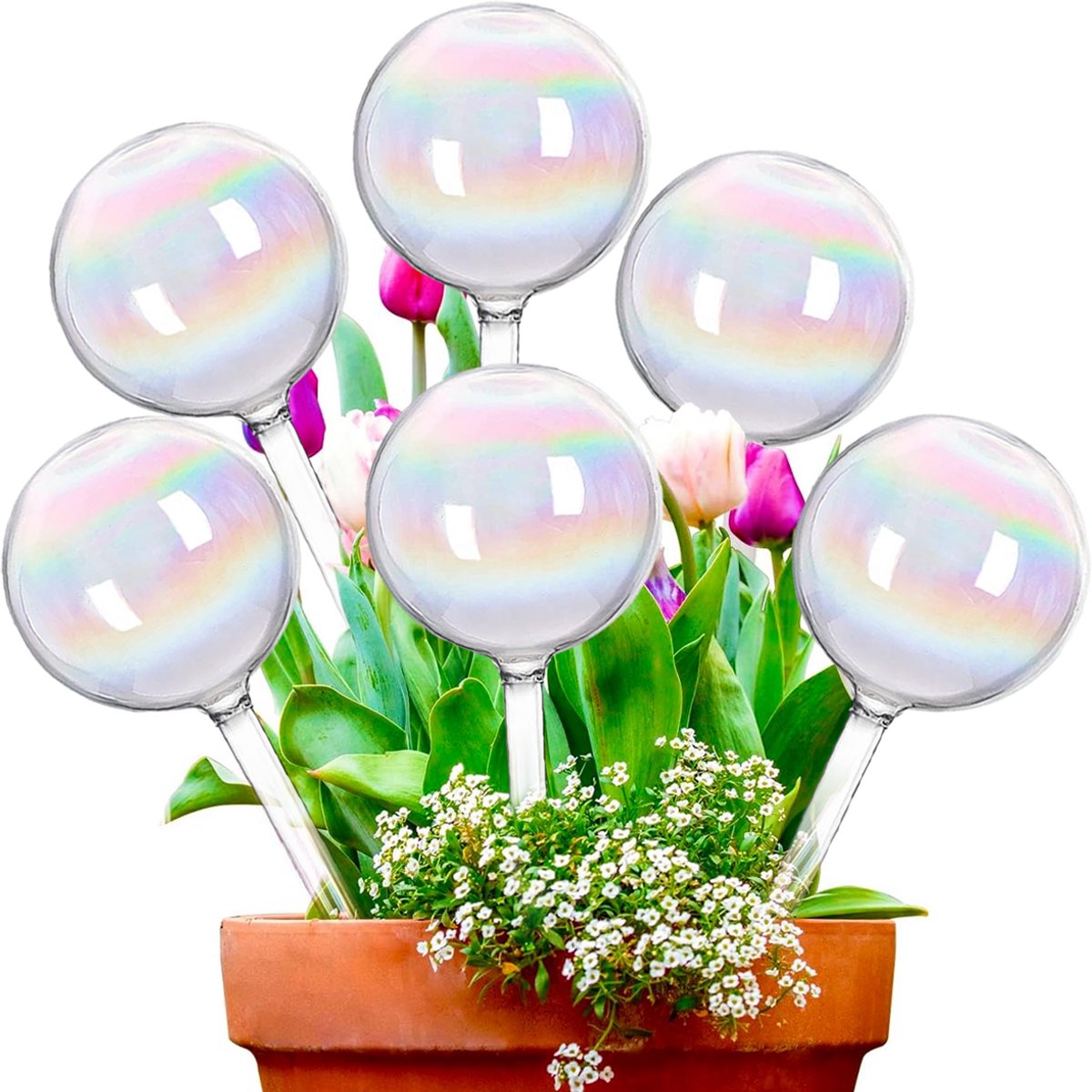 Planten Regenboog Waterballen - 6 PCS - Zelf Watergevende Stenen Voor Binnenplanten - Waterbollen Voor Vakantie Reizen - Voor Bloemen En Kamerplanten