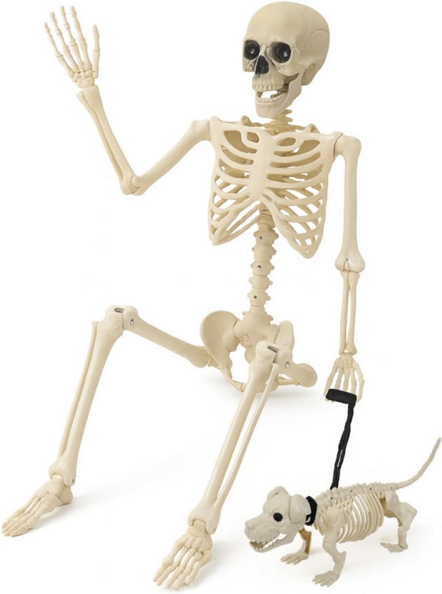 Set Van 2 Halloween Skelet Met Hond En Lijn - Levensgroot Skelet Ca. 160 Cm - Robuuste En Weerbestendige Skeletdecoratie - Geschikt Voor Buiten En Binnen