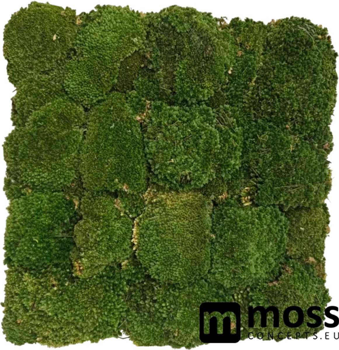 MOSS concepts Bolmos wandpaneel mosgroen