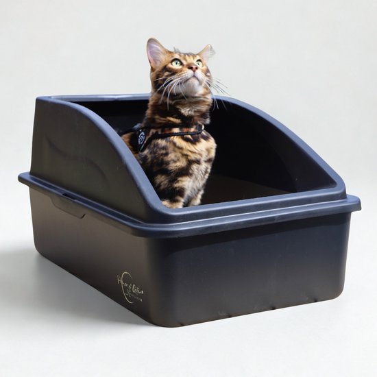 Cat Litter Prince of Qatar® | RVS Kattenbak 60x40x30 cm | Stainless steel | Zwart Gecoat | Voor Grote en Kleine Katten | Met Opstaande Rand | Anti Lek | Hygiënisch en Duurzaam