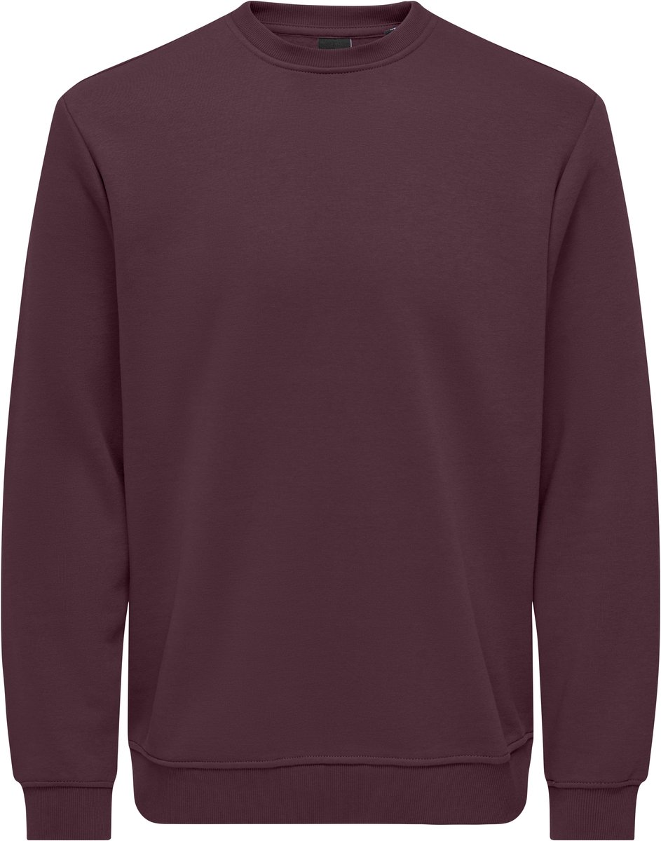 ONLY&SONS - ONSCONNOR LIFE REG CREW NECK SWEAT NOOS - Heren - Sweaters