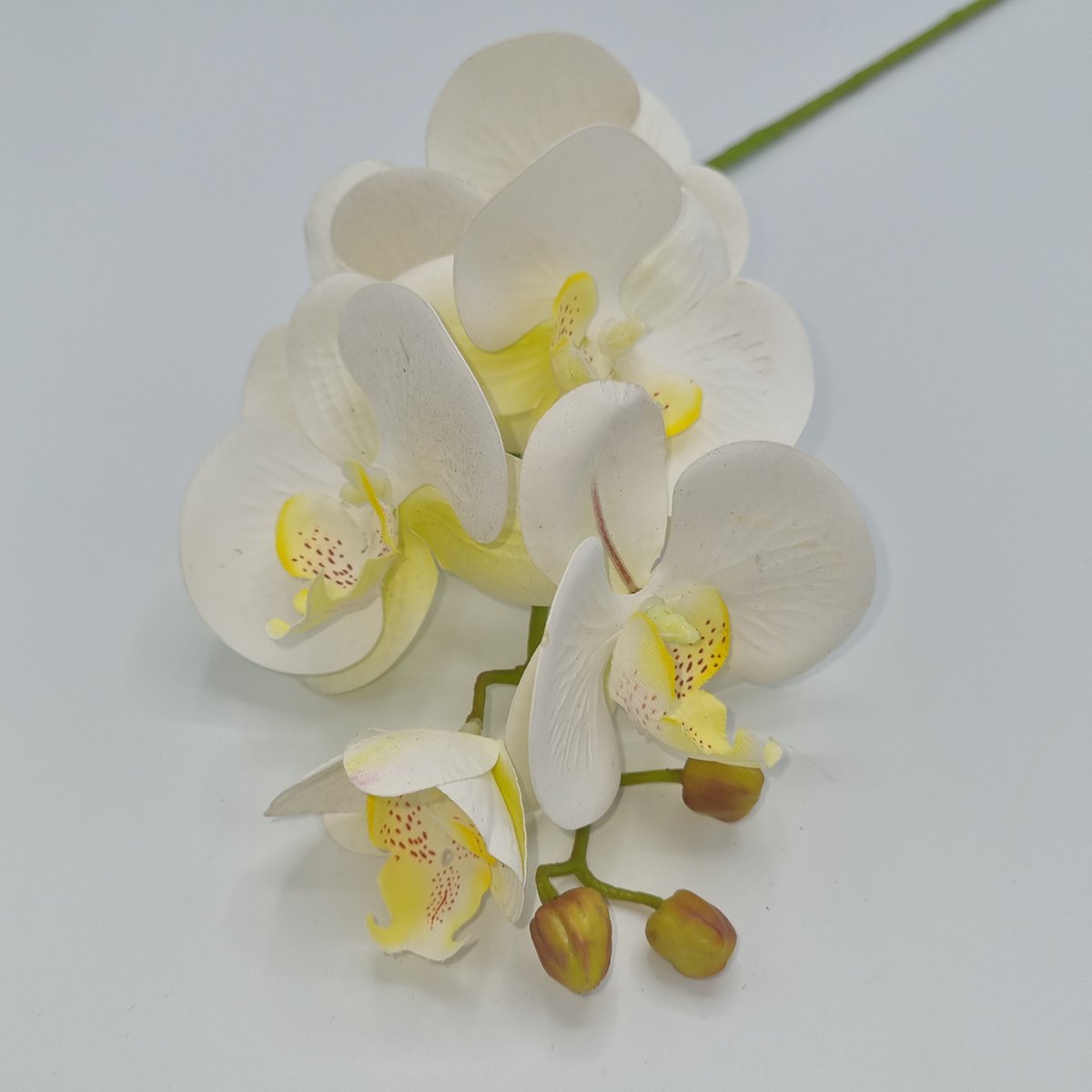 Orchidee - P6/5 - 65 cm - Wit (Off White) - 6 bloemen - 1 tak - Grafdecoratie - Zijdenbloemen - Kunstbloemen