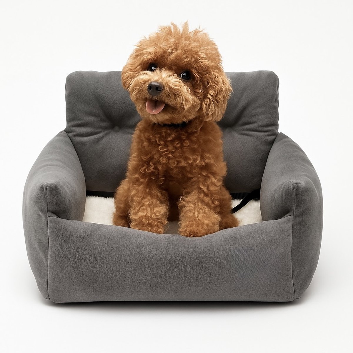 Honden reismand – Honden autostoel – Honden reisbench – Honden autogordel