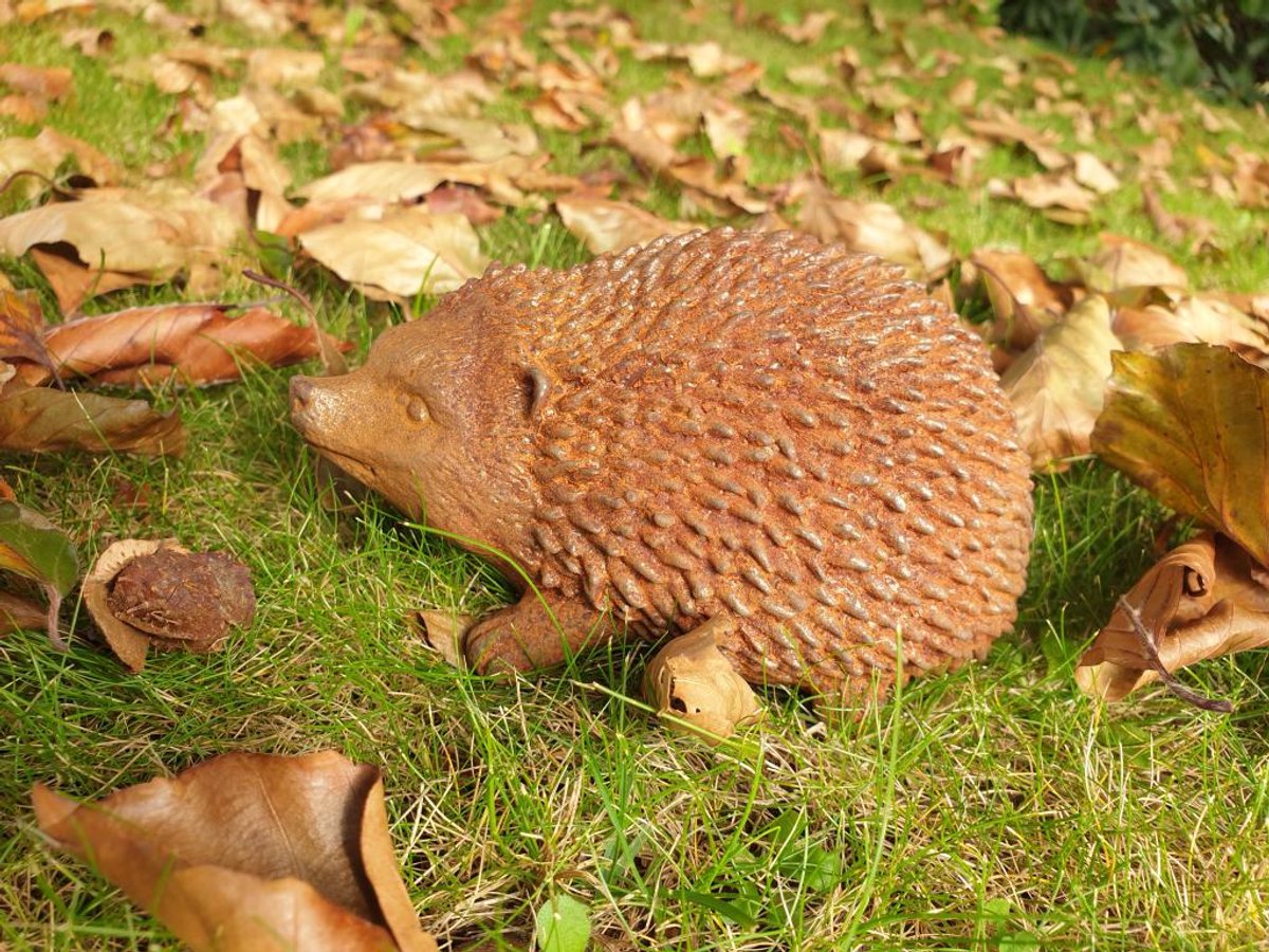 egel tuinbeeld