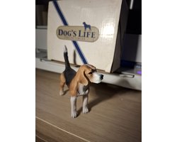 beeld hond beagle
