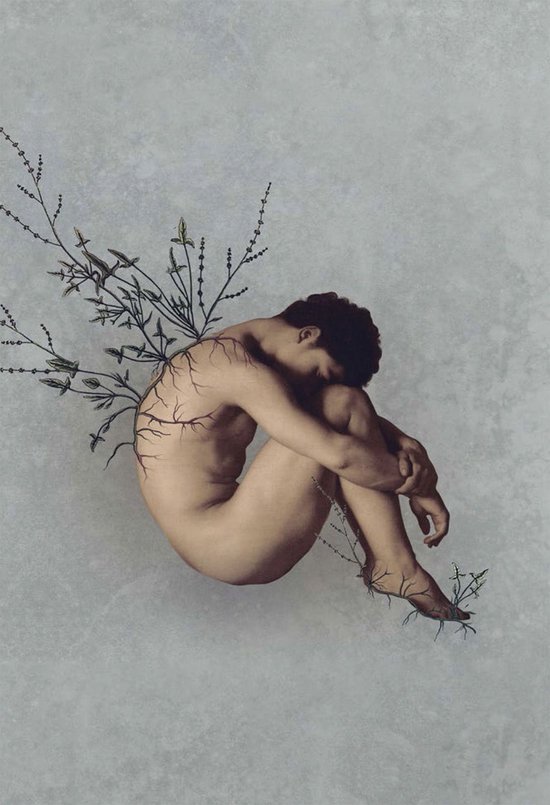 Céu Noturno Crivado De Balas - cover