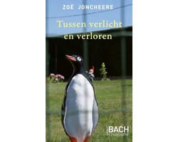 Omslag van Tussen verlicht en verloren