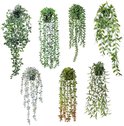 Ensemble de sept plantes suspendues vertes et grises variées aux différentes structures de feuilles.
