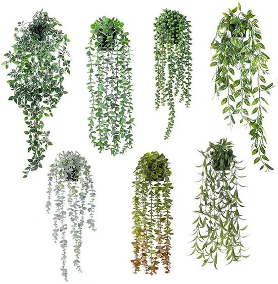 Ensemble de sept plantes suspendues vertes et grises variées aux différentes structures de feuilles.