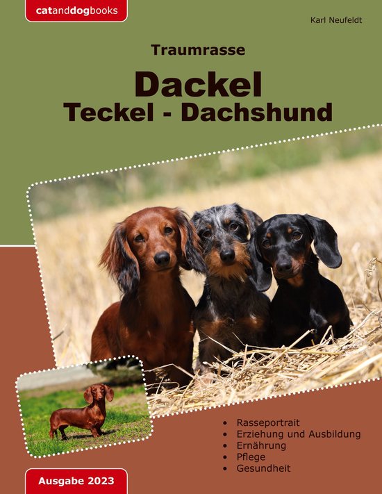 Traumrasse: Dackel Teckel Dachshund - cover