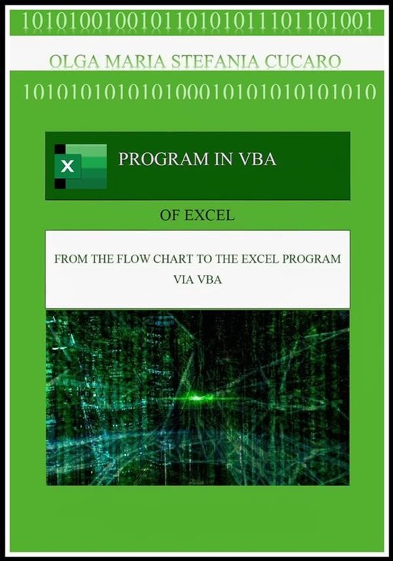 Program in VBA (Visual Basic for Applications) - cover