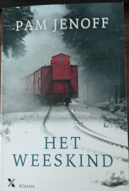 Het weeskind - cover