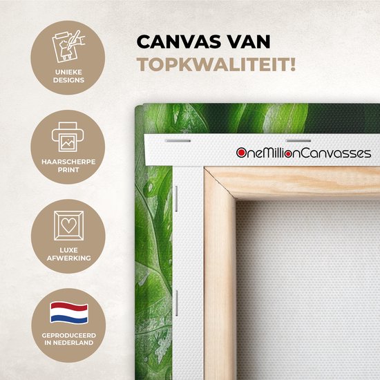 Tableau sur toile 40x80 cm - Décoration murale exclusive Légume - Laitue - Vert - Décoration murale salon - Décoration chambre - Accessoires chambre - Peintures sur toile