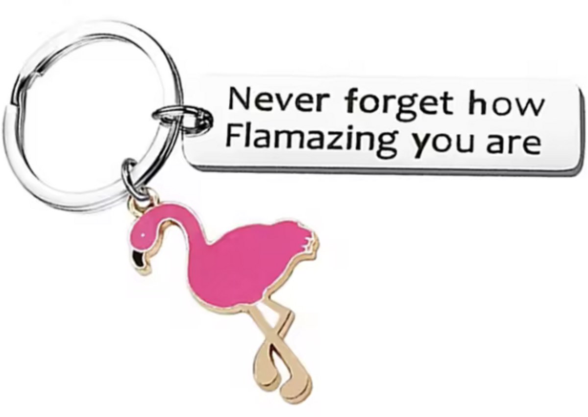 Flamingo sleutelhanger - Roze flamingo - Keychain - Never Forget How Flamazing You Are - Hartonderderiem - CHPN