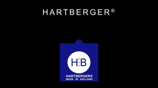 Hartberger 2 Euro muntalbum Herdenkingsmunten deel 2 2015-2020 - Het muntenalbum voor de 2 Euro verzamelaar wereld  verzamelmap insteek album insteek album munt munten Euromunten
