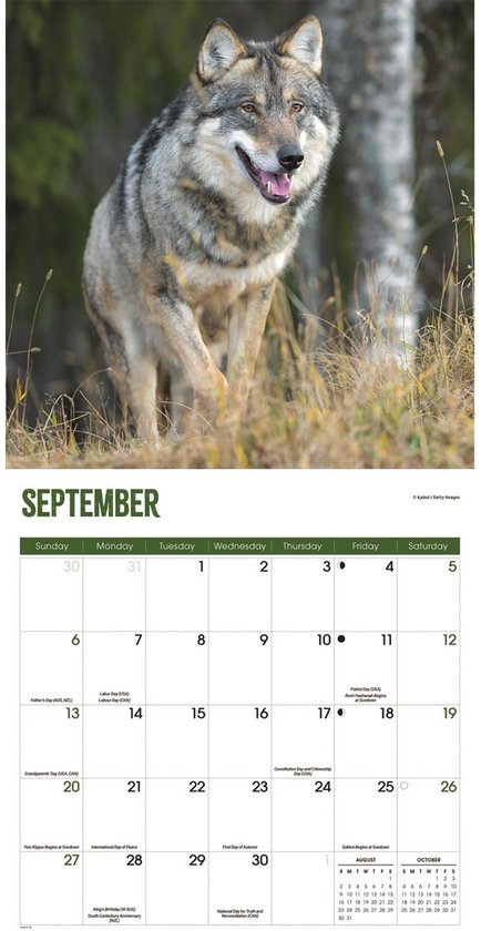 Wolven Kalender 2026