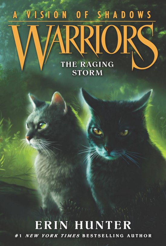 Warriors A Vision of Shadows 6 The Raging Storm - cover