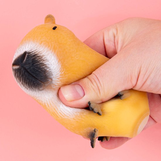 Foto: Ootb capibara stressbal