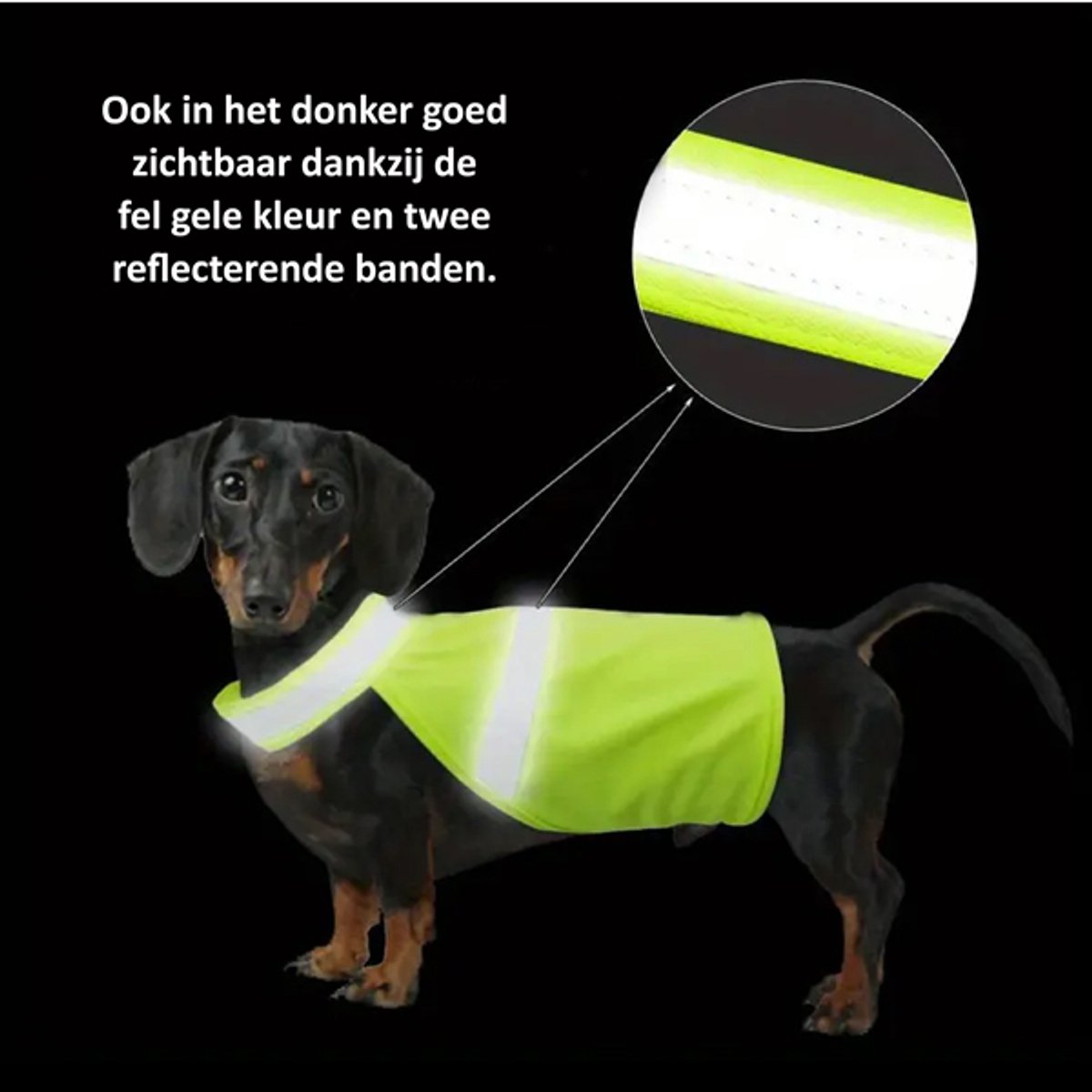 GEEN HONDEN Space Awareness Sleeve voor reactieve honden, reflecterende