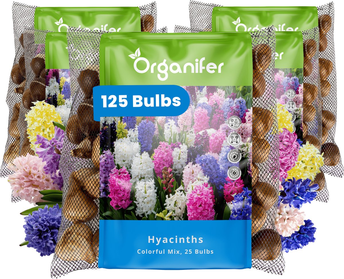 125 Hyacinten - Kleurrijke Mix - XXL Bollengrootte 16/17 cm - Bloembollen - Hyacint - Zomerbollen - Voorjaarsbollen - Trekt vlinders en bijen aan - Vaste planten - Organifer