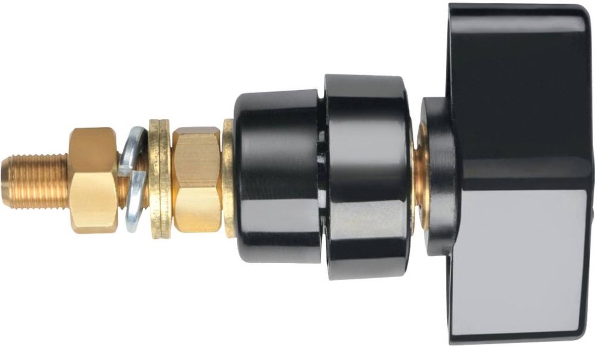 Schützinger POL 102 / SW Poolklem Zwart 100 A 1 stuk(s)