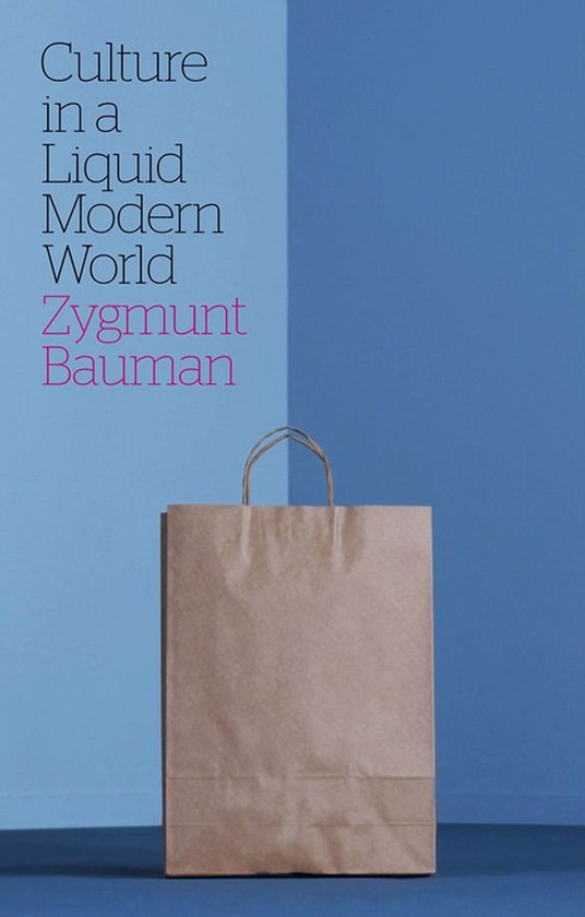 Culture in a Liquid Modern World - cover