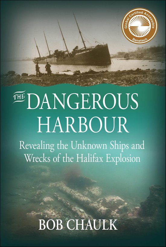The Dangerous Harbour - cover