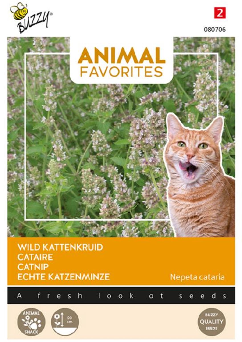 Wild kattenkruid