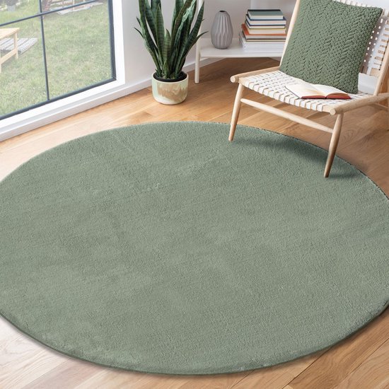 Tapis rond vert menthe dans un salon lumineux.