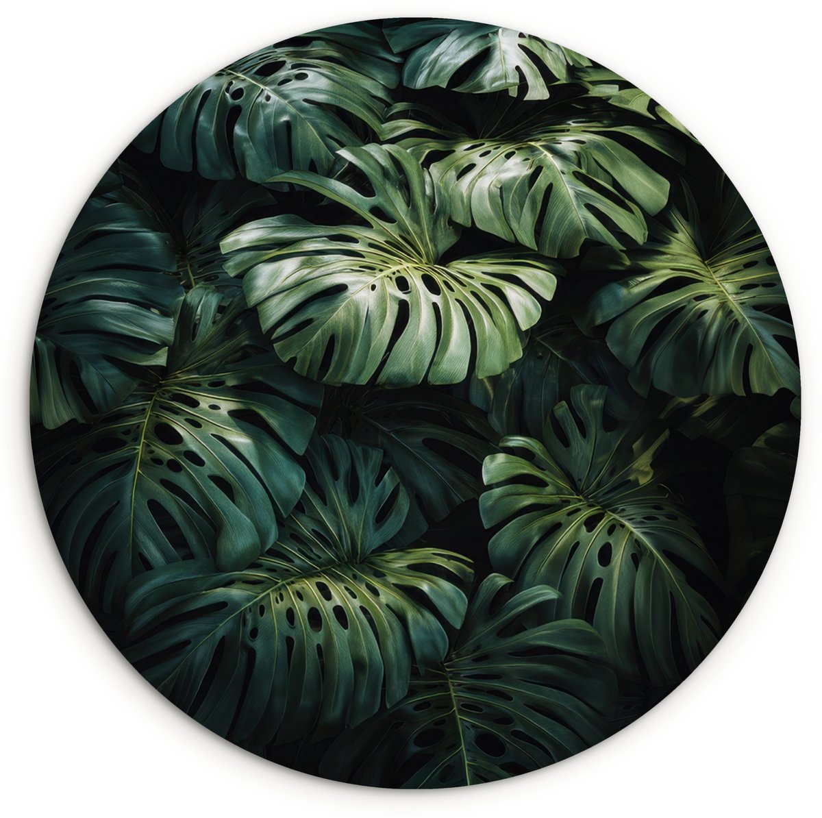 WallCircle Wandcirkel 90x90 cm - Muurcirkel Plant - Monstera - Lichtinval - Muurdecoratie woonkamer - Wanddecoratie slaapkamer - Kamer decoratie accessoires - Ronde schilderijen Bladeren - Glad