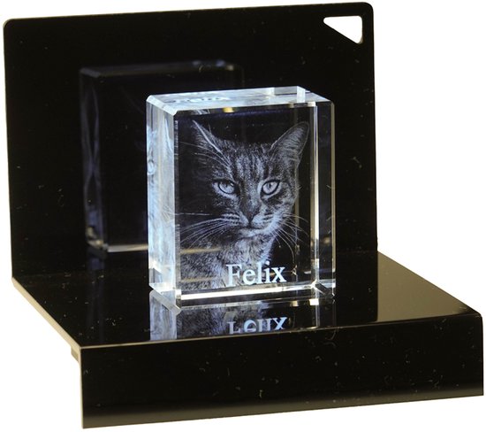 Photo 3D en verre avec base lumineuse de luxe XS