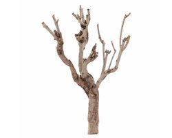 Seringenhout | terrarium klimhout en natuurlijke decoratie 60-90 CM