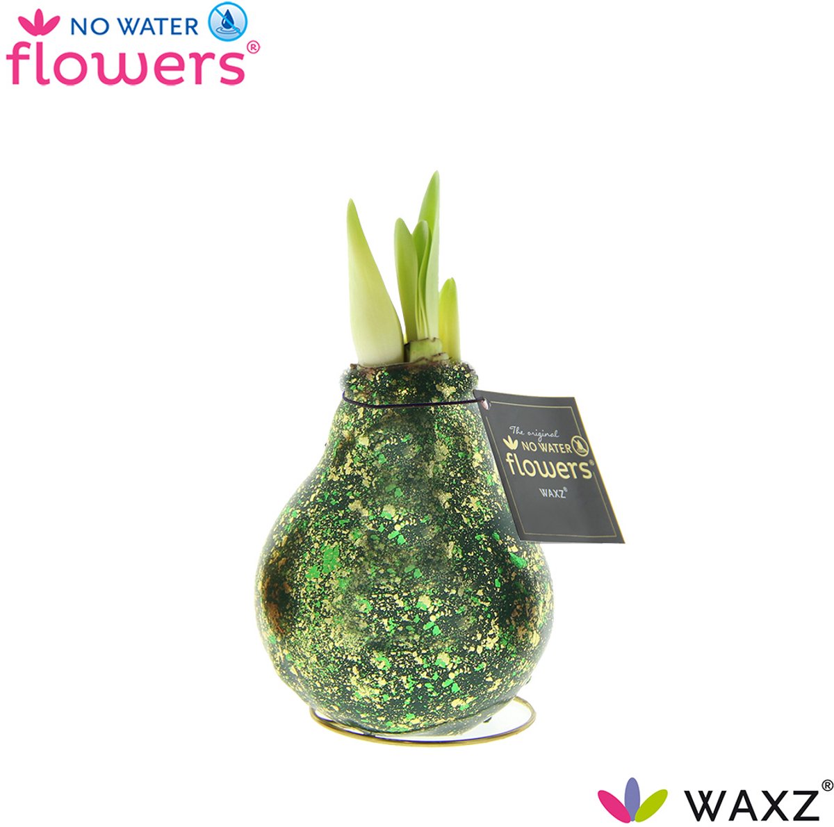 Galaxy Polaris Dark Green