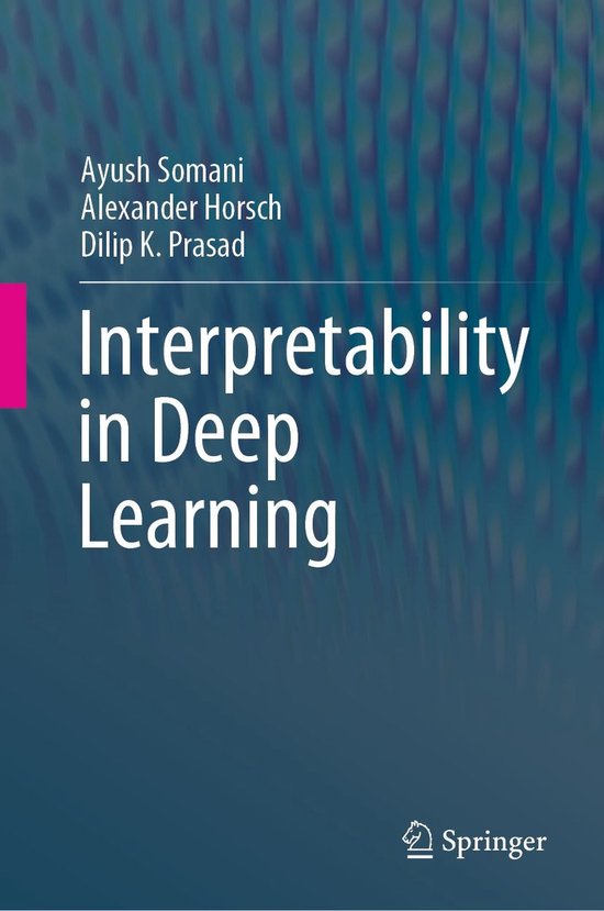 Computer Science (R0) - Interpretability in Deep Learning - cover