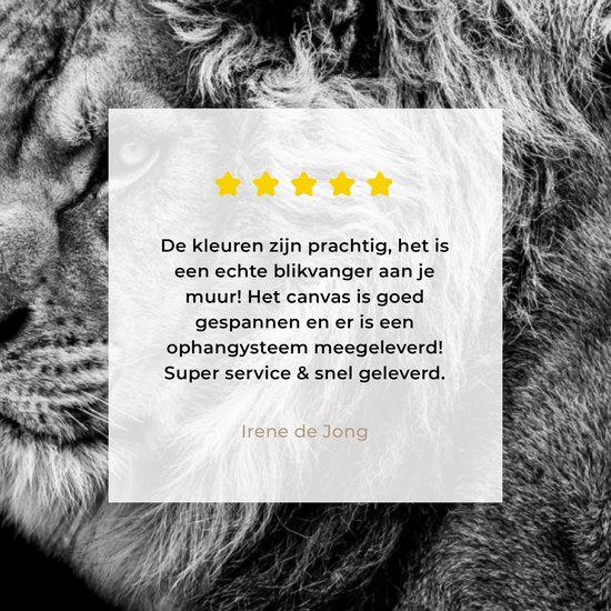 Tableau sur toile - Animaux sauvages - Lion - Zwart - Wit - Décoration murale - Toile - 80x60 cm - Toile canvas - Salon