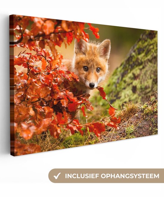 Un renard curieux regarde à travers des feuilles d'automne orange. À droite, un arbre couvert de mousse.