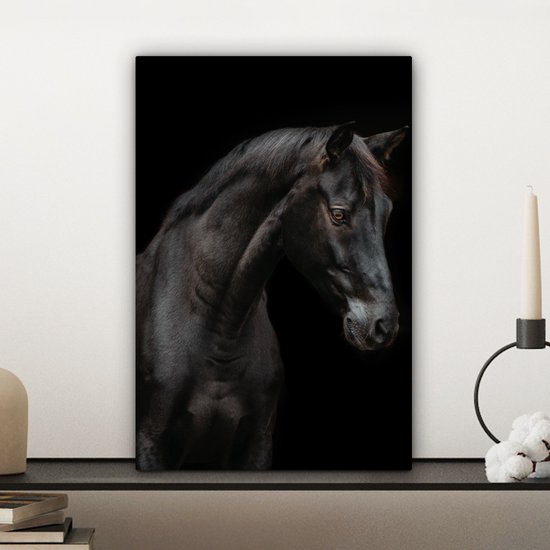 Tableau sur toile Cheval - Animaux - Zwart - Portrait - 20x30 cm - Décoration murale