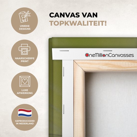 Peinture sur toile - Photo sur toile - Fleurs - Tournesol - Graines - Wit - Plantes - Décoration de chambre - 160x120 cm - Toile en toile